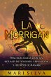 La Morrigan - Bild 1
