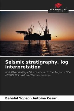 Seismic stratigraphy, log interpretation - Antoine Cesar, Behalal Yopson