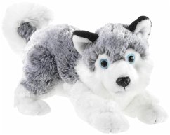 Heunec 277878 - MISANIMO Husky liegend, 28 cm