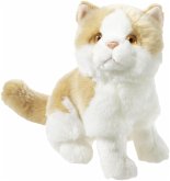 Heunec 279155 - MISANIMO Kätzchen weiß-braun, 24 cm Heunec 279155 - MISANIMO Kätzchen weiß-braun, 24 cm