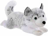 Heunec 290471 - WINTER Husky, 30 cm