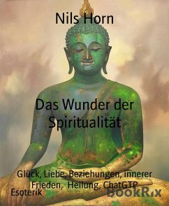 Das Wunder der Spiritualität (eBook, ePUB) - Horn, Nils
