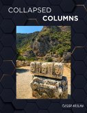 Collapsed Columns (eBook, ePUB)