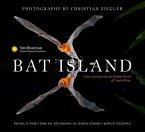 Bat Island (eBook, ePUB)