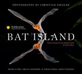 Bat Island (eBook, ePUB)
