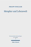 Metapher und Lebenswelt (eBook, PDF)