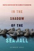 In the Shadow of the Seawall (eBook, ePUB)