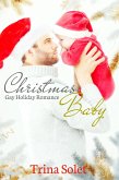 Christmas Baby: Gay Holiday Romance (eBook, ePUB)
