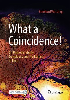 What a Coincidence! (eBook, PDF) - Wessling, Bernhard