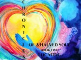 Chronicles of a Halved Soul (eBook, ePUB)