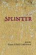 Splinter (eBook, ePUB) - Bild 1