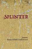 Splinter (eBook, ePUB)