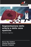 Segmentazione delle arterie e delle vene epatiche