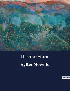 Sylter Novelle - Storm, Theodor