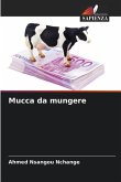 Mucca da mungere