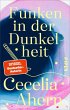 Funken in der Dunkelheit (eBook, ePUB) - Bild 1