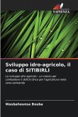 Sviluppo idro-agricolo, il caso di SITIBIRLI