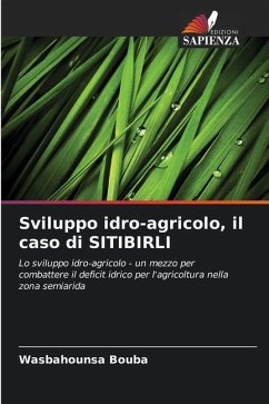 Sviluppo idro-agricolo, il caso di SITIBIRLI - Bouba, Wasbahounsa