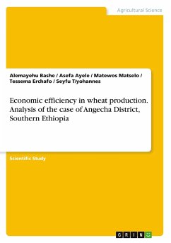 Economic efficiency in wheat production. Analysis of the case of Angecha District, Southern Ethiopia - Bashe, Alemayehu; Ayele, Asefa; Matselo, Matewos; Erchafo, Tessema; T/yohannes, Seyfu
