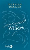 Eine kleine Geschichte des Windes (eBook, ePUB)