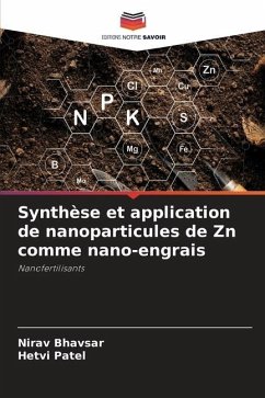 Synthèse et application de nanoparticules de Zn comme nano-engrais - Bhavsar, Nirav;Patel, Hetvi