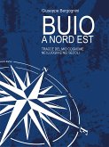 Buio a Nord Est (eBook, ePUB)