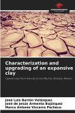 Characterization and upgrading of an expansive clay