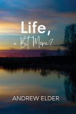 Life, a Bit More? (eBook, ePUB)
