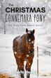 The Christmas Connemara Pony - The... - Bild 1