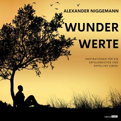 WunderWerte (eBook, ePUB) - Niggemann, Alexander