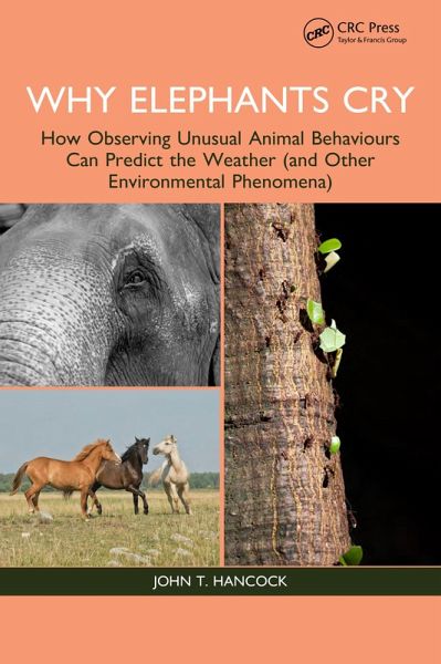 Why Elephants Cry (eBook, ePUB)