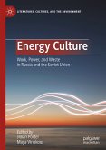 Energy Culture (eBook, PDF)