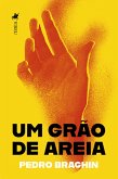 Um gra~o de areia (eBook, ePUB)