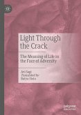 Light Through the Crack (eBook, PDF)