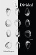 I, Divided (eBook, ePUB) - Bild 1