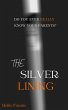 The Silver Lining (eBook, ePUB) - Bild 1