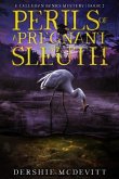 Perils of a Pregnant Sleuth (eBook, ePUB)