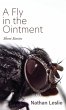 A Fly in the Ointment - Bild 1