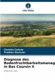 Diagnose des Bodenfruchtbarkeitsmanagements in Bas Coursin II