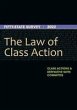 The Law of Class Action - Bild 1