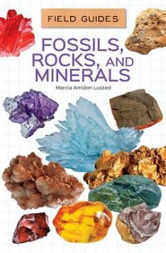 Fossils, Rocks, and Minerals - Lusted, Marcia Amidon