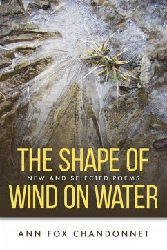 The Shape of Wind on Water - Chandonnet, Ann Fox