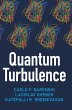 Quantum Turbulence - Bild 1