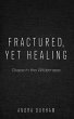 Fractured, Yet Healing - Bild 1