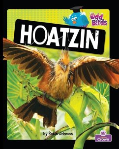 Hoatzin - Johnson, Robin