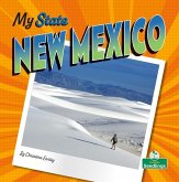 New Mexico