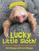 Lucky Little Sloth!