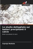 Lo studio dettagliato sui batteri precipitanti il calcio