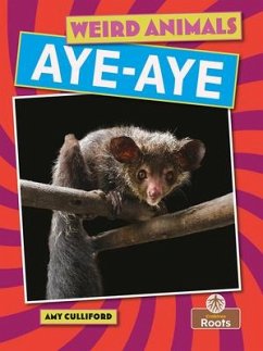 Aye-Aye - Culliford, Amy