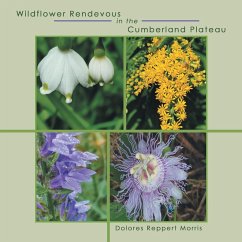 Wildflower Rendevous in the Cumberland Plateau - Morris, Dolores Reppert